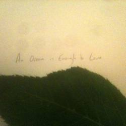 T E Morris : An Ocean Is Enough to Love